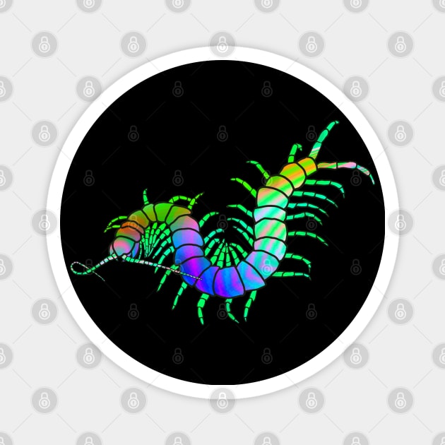 Colorful Centipede Magnet by techno-mantis